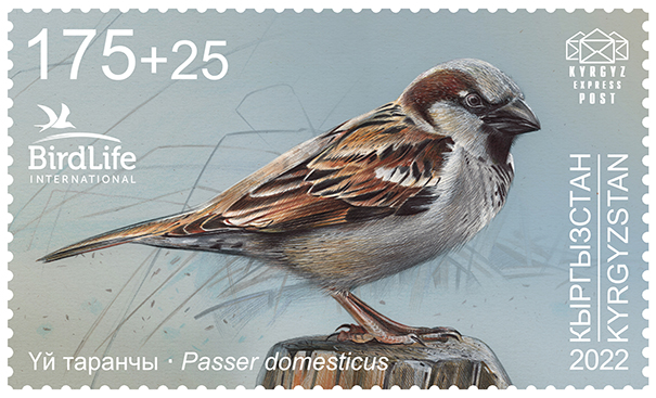 188M. The House Sparrow