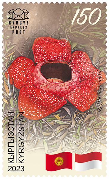 219M. 30th Anniversary of Diplomatic Relations between Kyrgyzstan and Indonesia. The Arnold's Rafflesia