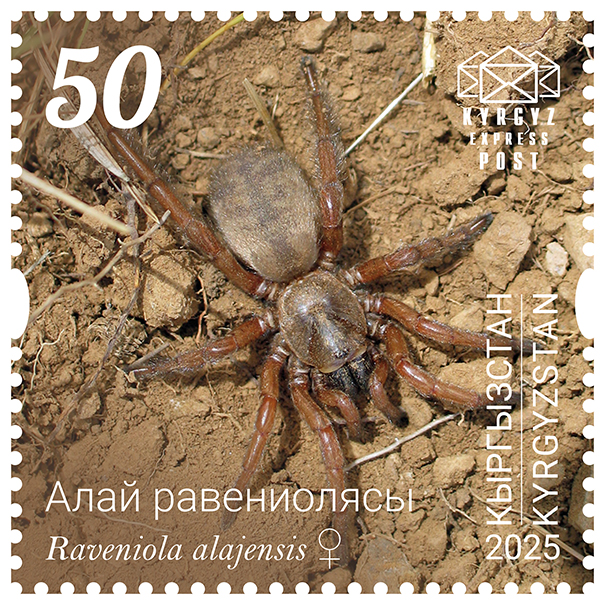 259M. The Alay trapdoor spider