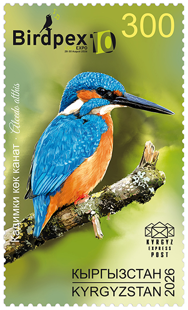 279M. The Common kingfisher