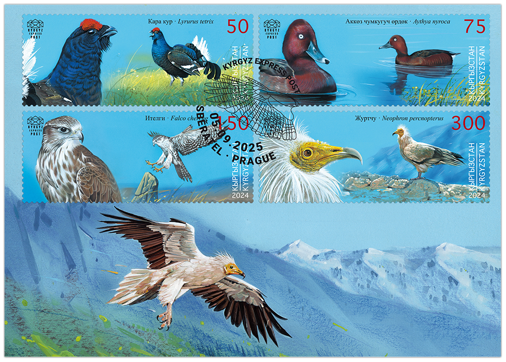 E021. The Egyptian Vulture