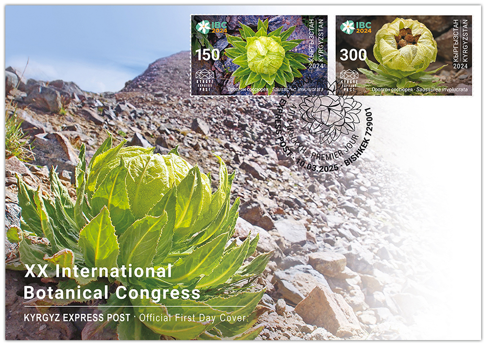 F119. XX International Botanical Congress in Madrid. Alpine Saw-wort