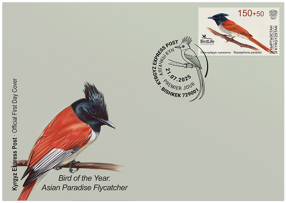 F132. The Asian paradise flycatcher