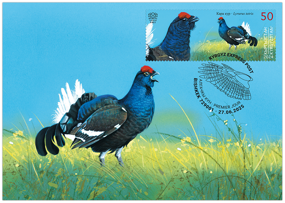 K146. The Black Grouse