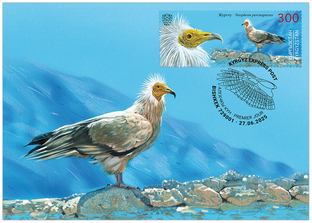 K149. The Egyptian Vulture
