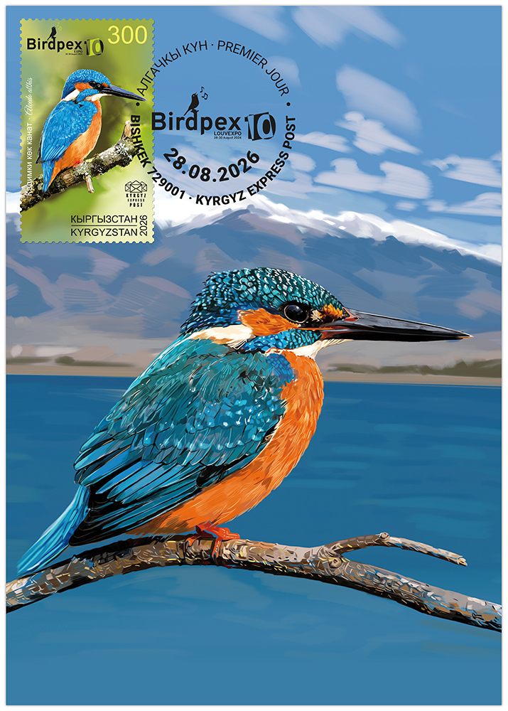 K178. The Common kingfisher